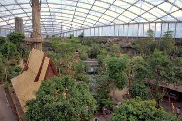 Gondwanaland im Zoo Leipzig - Mehr als 2,3 Millionen Besucher im ersten Jahr Gondwanaland im Zoo Leipzig - Mehr als 2,3 Millionen Besucher im ersten Jahr